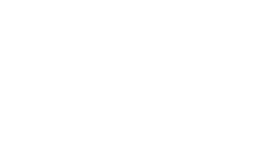 A1